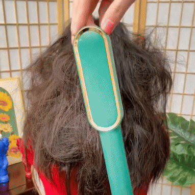 Cepillo Alisador HairEase – Mi tienda